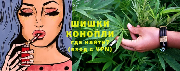 шишки Аркадак