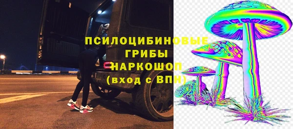 шишки Аркадак