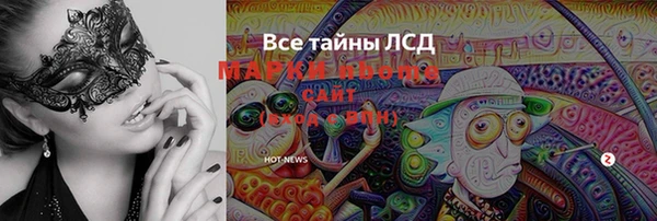 шишки Аркадак