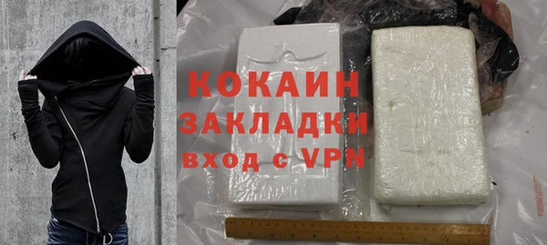 шишки Аркадак