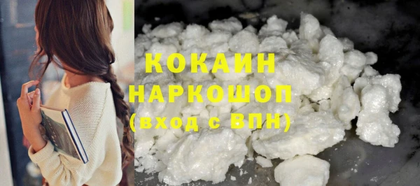 шишки Аркадак